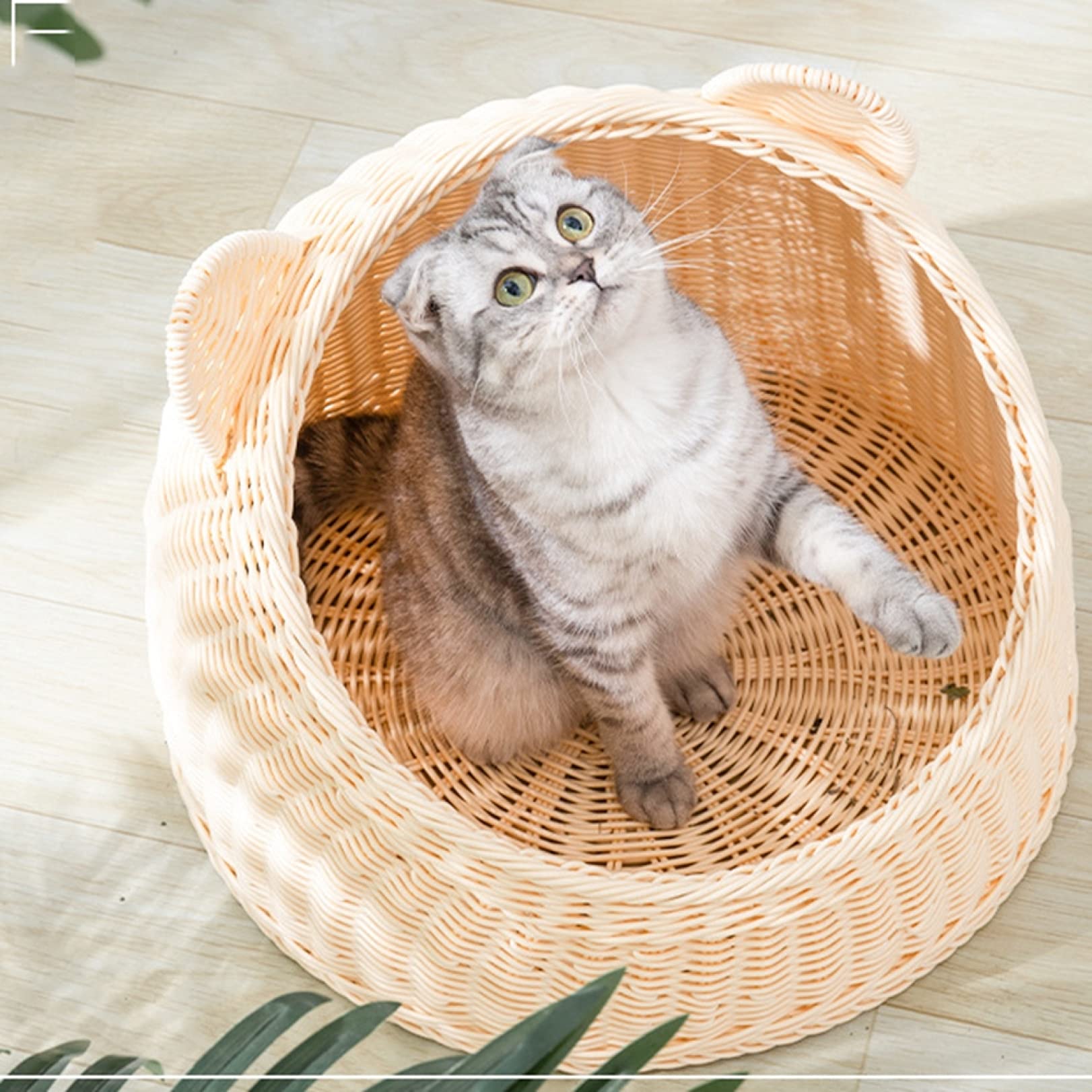 Amazon.co.jp: ラタン ペットベッド 猫ハウス 夏用 可愛い猫耳型